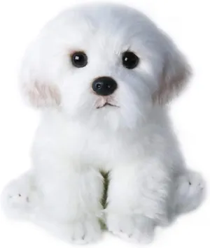 14" Realistic Plush Maltese Dog, Stuffed Animal Puppy Dog Toys, Soft Plush Pillow Birthday for Kids and Adult, White