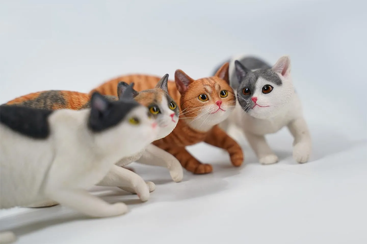 1:6 Scale Chinese Garden Cat 3.0 Figure Realistic Felidae Resin Cat Model Collector Animal Creative Decor Gift for Adult (JXK179A2)