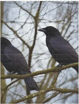 Black Crow Birds Building Block Puzzle Personalized Building Bricks for Adults Square Shaped DIY Brick Block Puzzles Valentine's Day Gifts for Home Decor Brick Puzzle