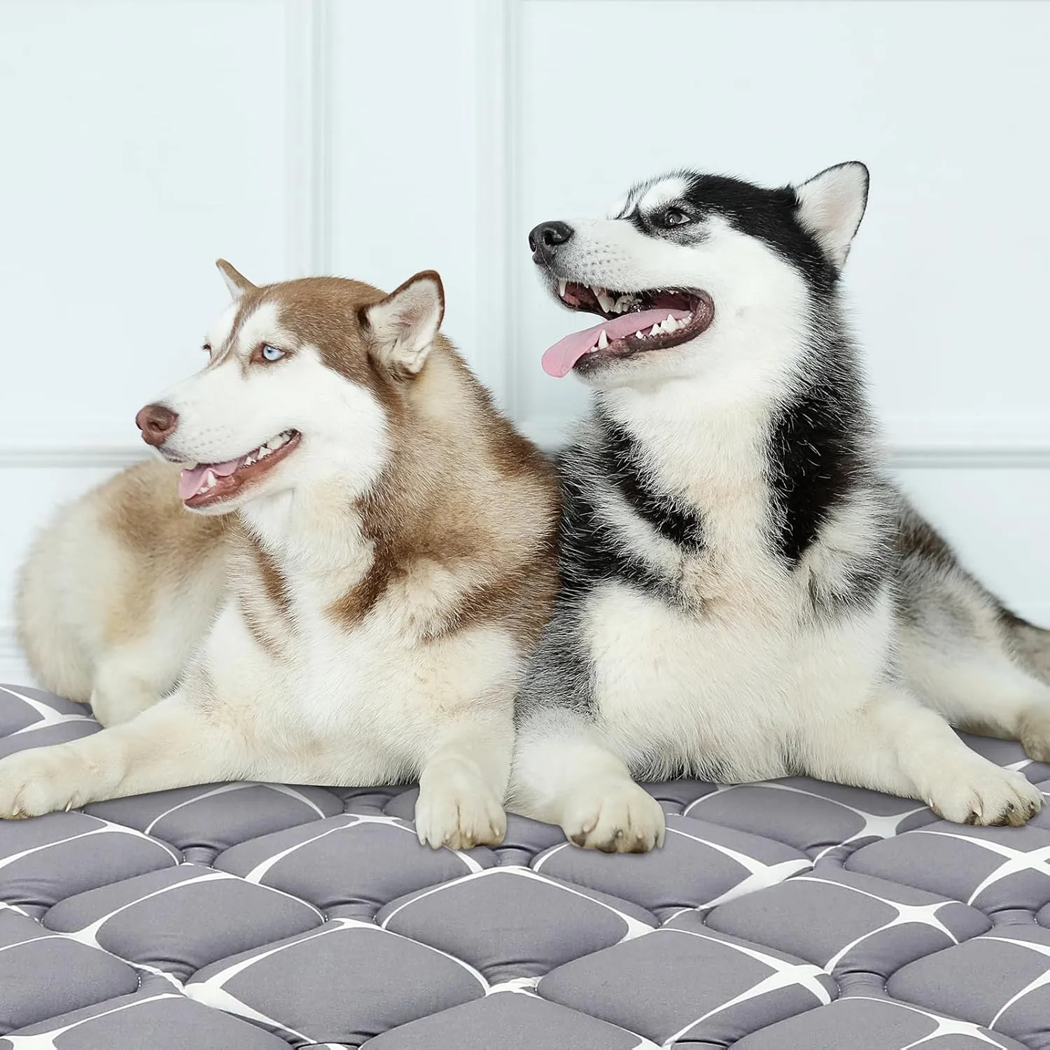 Dog Crate Mat, Ultra Soft Dog Bed Mat for Sleeping with Anti-Slip Bottom, Washable Kennel Pad for Large Medium Small Dogs Breeds with Cute Prints and Dark Colored to Hide Stains (42" X 28")