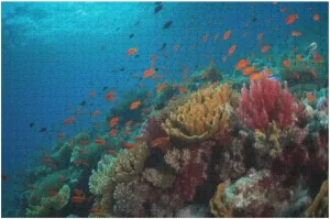 Fish Swim in Soft Coral Reef 500 Piece Puzzle for Adults Puzzle Puzzles 500 Pieces and Up Jigsaw Puzzles for Kids Puzzle Challenging Family Activity Fun Game Gift for Women Men 20.5x15 Inch