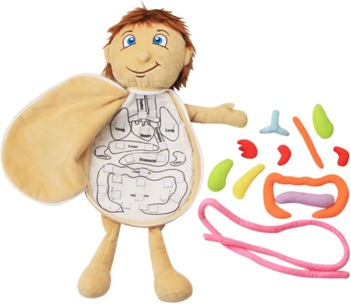 KESYOO Educational Plush Organ Puzzle Interactive Anatomy Teaching Tool for Preschool Learning Safe for Boys Present for Birthdays Holidays