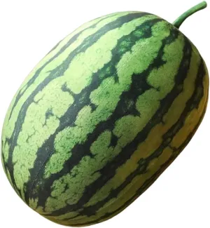 Plush Watermelon Pillow Fruit Shaped Pillows Watermelon Shaped Throw Pillow Cute Stuffed Fruit Cushion Hug Toy Decorative Pillow Home Decor