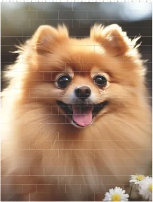 Pomeranian Dog Building Block Puzzle Personalized Building Bricks for Adults Square Shaped Block Puzzle Building Brick Block Puzzles Valentine's Day Gifts for Home Decor Brick Puzzle