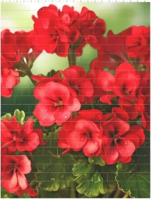 Red Geraniums Building Block Puzzle Personalized Building Bricks for Adults Block Puzzle Building DIY Brick Block Puzzles Valentine's Day Gifts for Home Decor Brick Puzzle